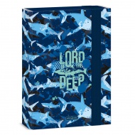 Ars Una: Lord of the Deep caiet box A/5