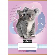 Nebulo: Caiet cu pătrățele cu model de koala A/5 27-32