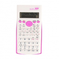 Spirit: DG-1010 calculator roz