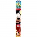 Zmeu cu design Mickey Mouse