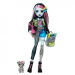 Păpușa Monster High - Frankie Stein Teribil de Nouă - Mattel